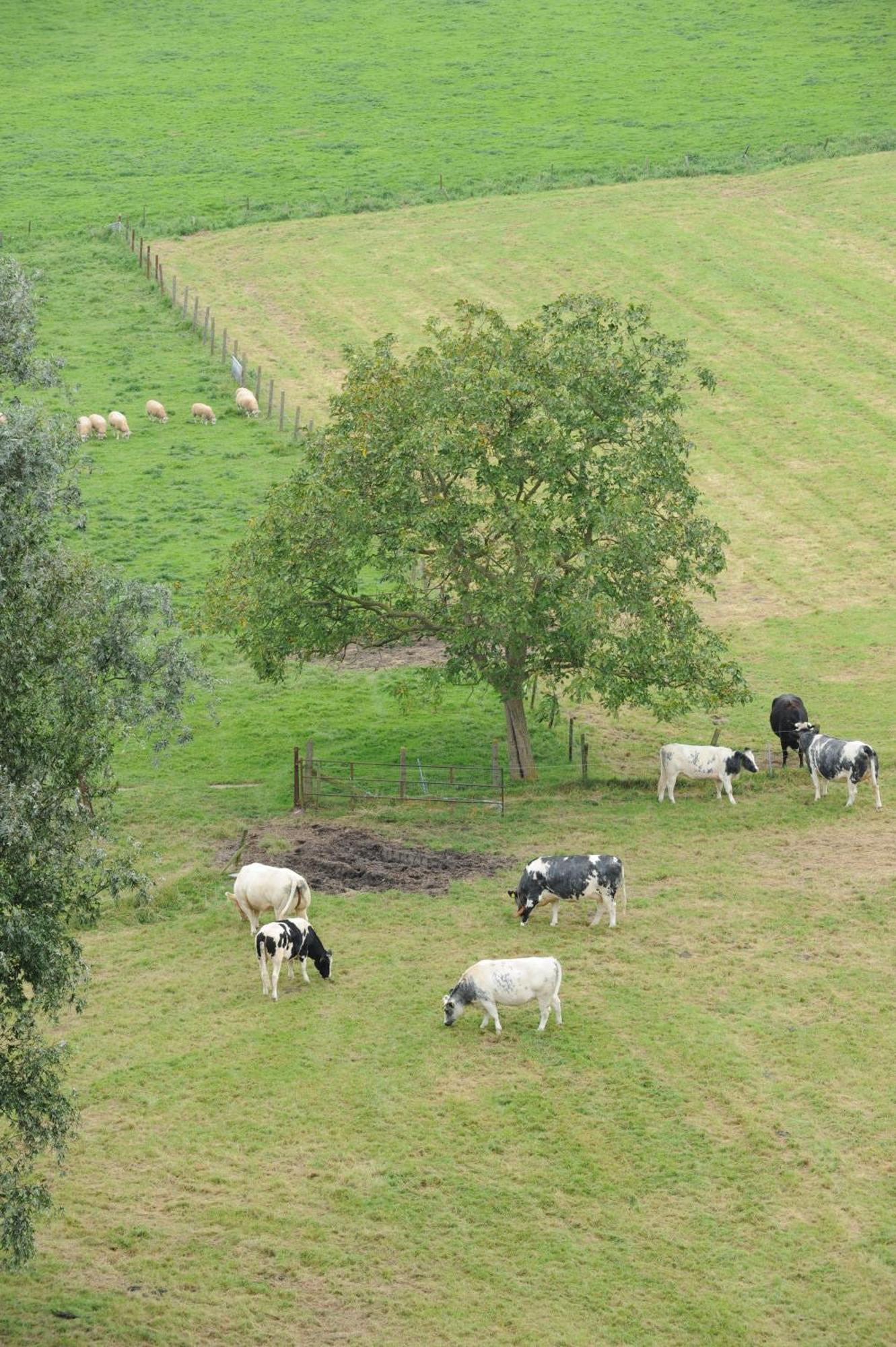 Herberg De Watertoren 3*